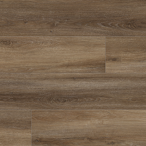 Schiste