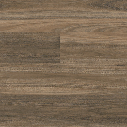 Suie — Dark Grey